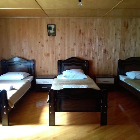 Guest House Anisa Birkiani Εξωτερικό φωτογραφία