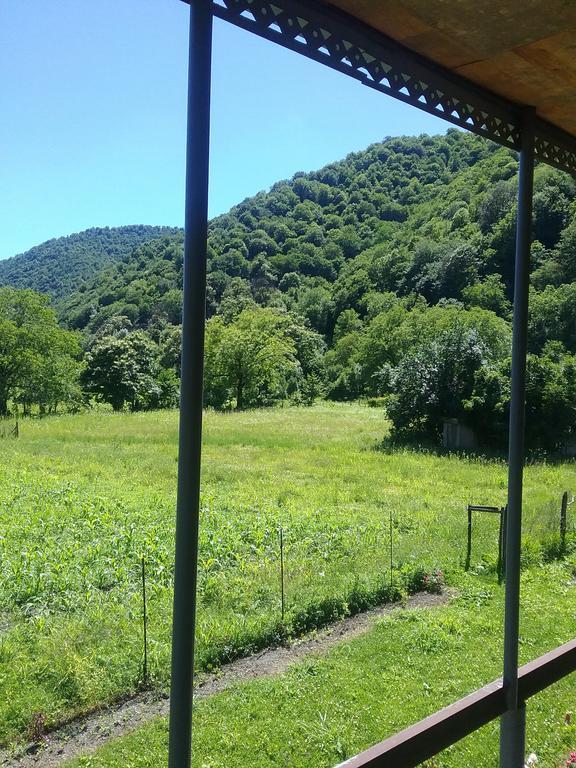 Guest House Anisa Birkiani Εξωτερικό φωτογραφία