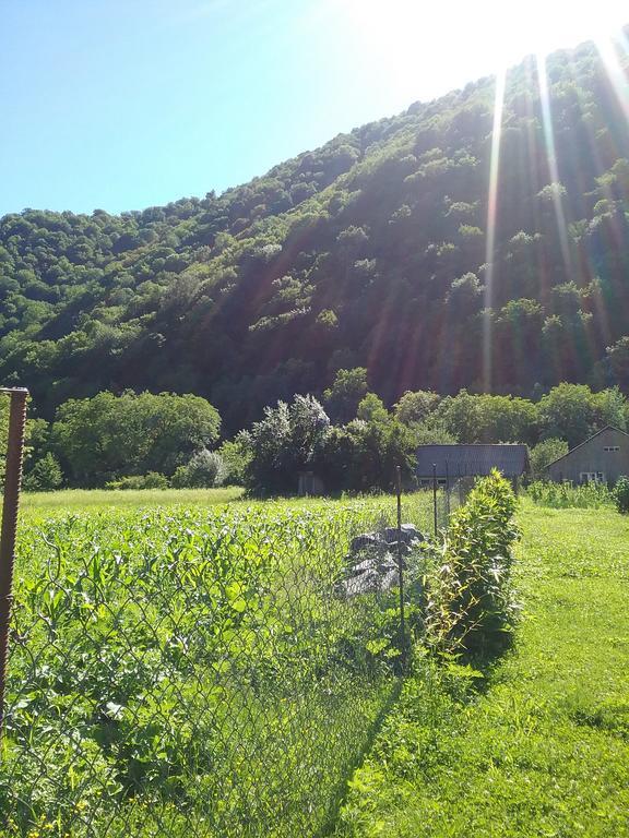 Guest House Anisa Birkiani Εξωτερικό φωτογραφία
