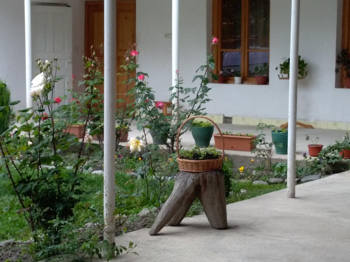 Guest House Anisa Birkiani Εξωτερικό φωτογραφία